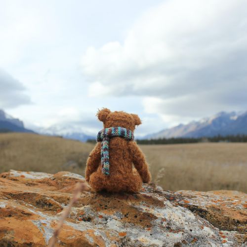 Ein Teddy sitzt in einer grauen Landschaft, Berge sind im Hintergrund. Er hat Heimweh.